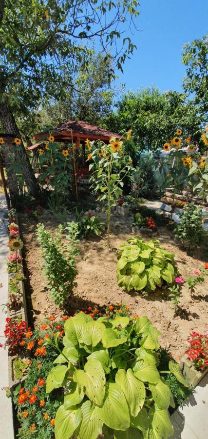 Balla House Bed & Breakfast Tarcaia Luaran gambar