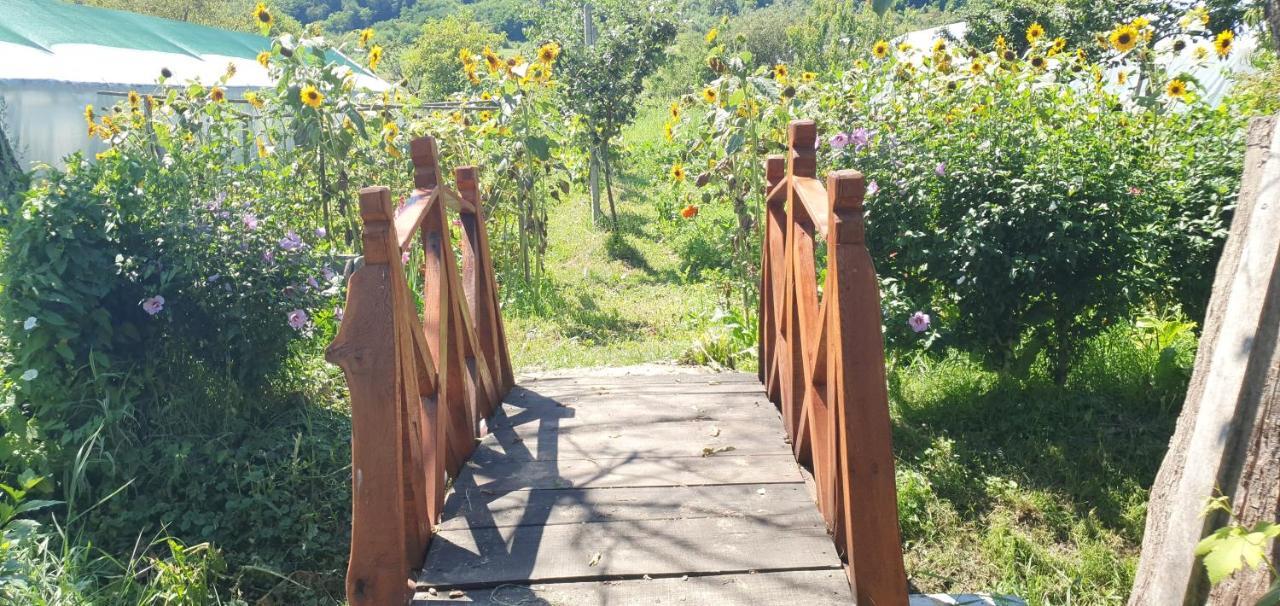 Balla House Bed & Breakfast Tarcaia Luaran gambar