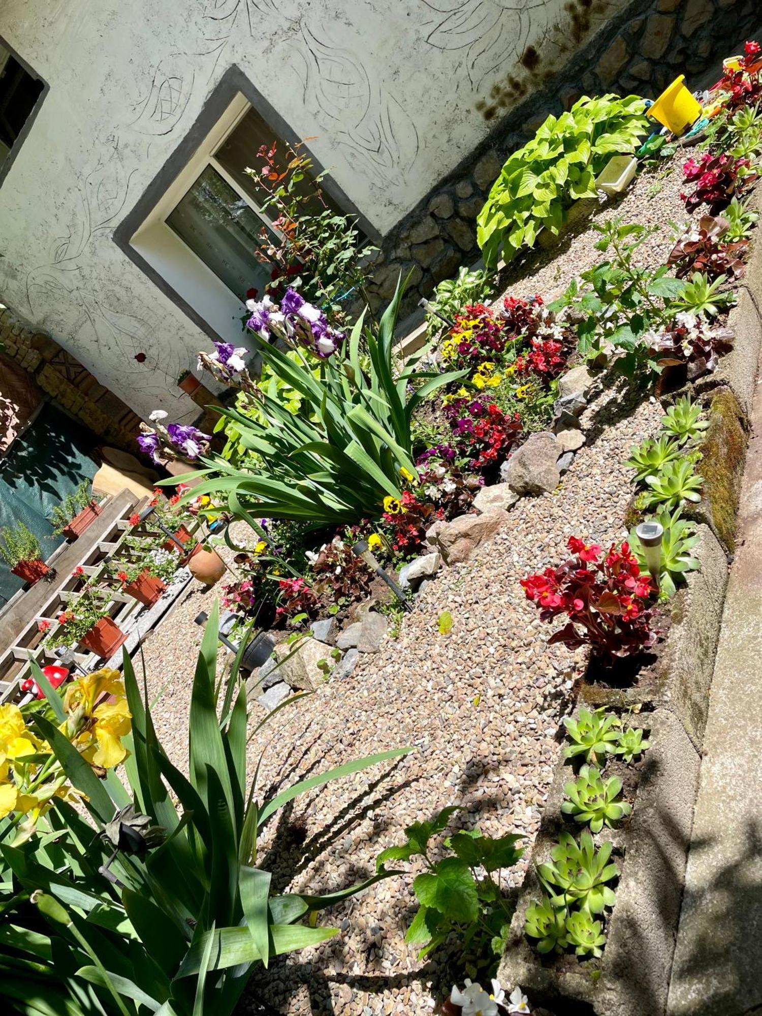 Balla House Bed & Breakfast Tarcaia Luaran gambar